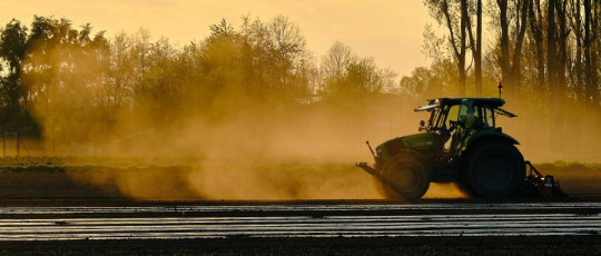 Amazônia: Brasil e Alemanha fazem cooperação para produção sustentável