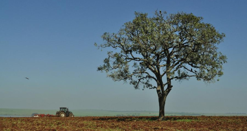 Embrapa apresenta novo plano diretor para próximos 10 anos