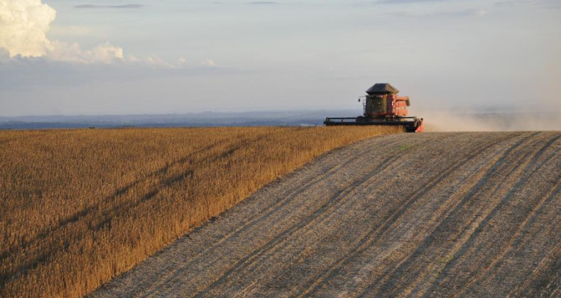 Estoque de produtos agrícolas tem queda de 17% no primeiro semestre